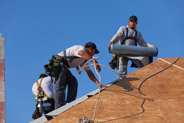 Roof Gutter Cleaning in Barker Heights, NC